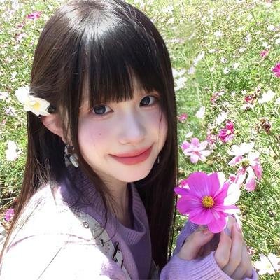 知否知否却道海棠依旧